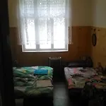U Tupacku Летний дом